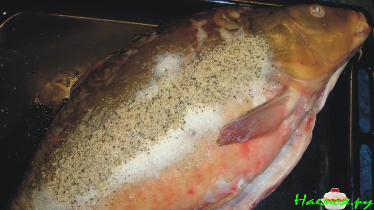 Карп лимонный