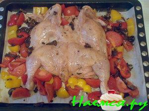 Курица с овощами и болгарским перцем