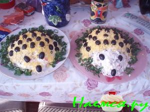 Ежик нежный