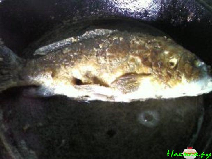 Карп в клюквенно-грибном соусе Карп в клюквенно-грибном соусе