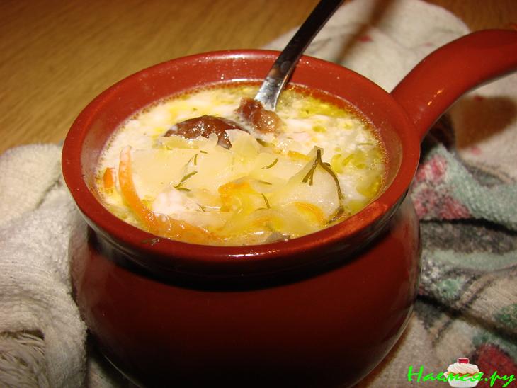 Щи из кислой капусты с потрошками