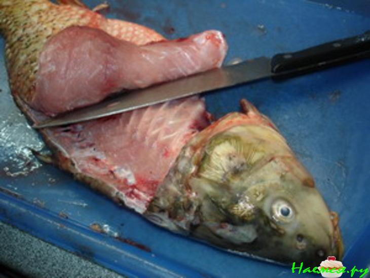 "Сазан запеченный в луке порее"