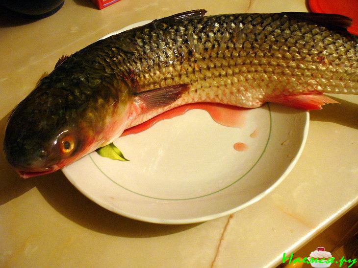 Уха от Ирины