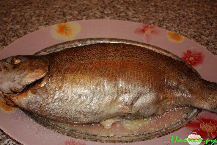 Форель фаршированная грибами и орехами с луком