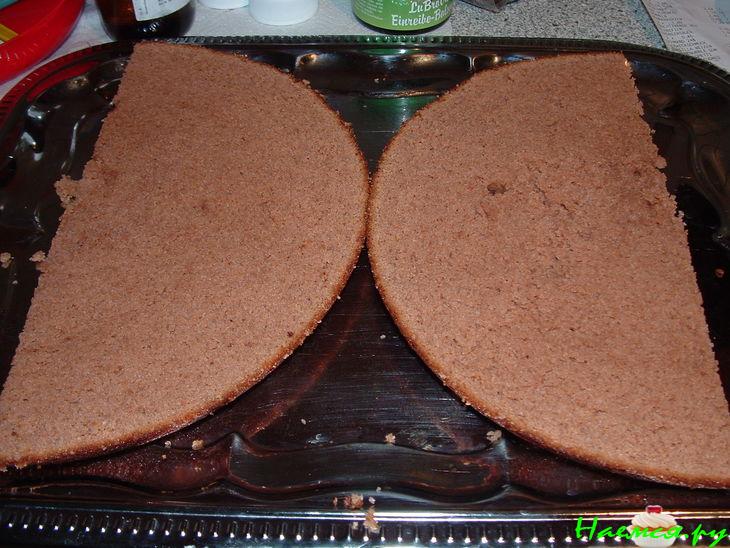 Одна из тысяч бабочек