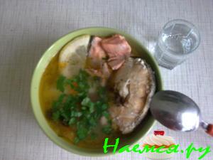 Рыбный супешник