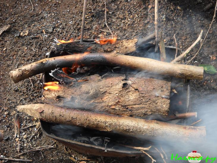 Пангасиус, приготовленный на углях дерева грецкого ореха 