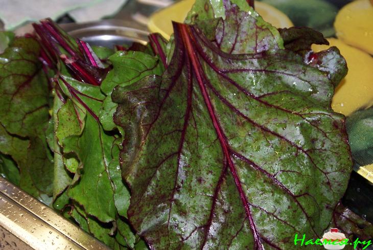 Маленькие голубцы в свекольных листьях