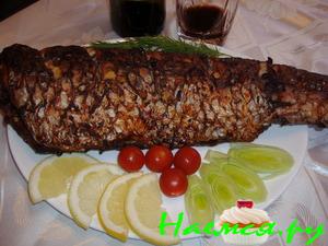 Сазан запеченный с мартини