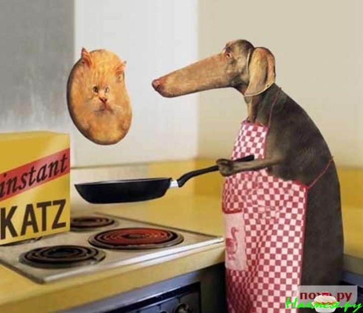 Салат "Полянка" с омлетом Салат "Полянка" с омлетом