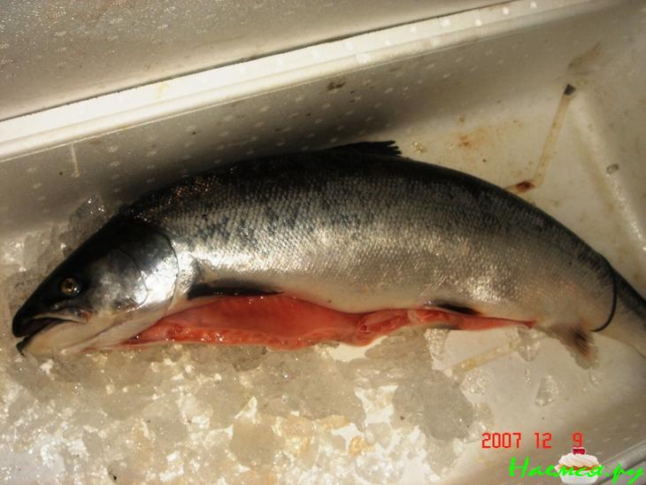 Уха (упрощенный вариант)