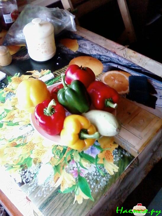 Перцы сладкие, фаршированные, в соусе «Бешамель» Перцы сладкие, фаршированные, в соусе «Бешамель»