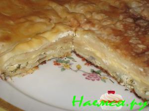 Ачма лентяйская Ачма лентяйская