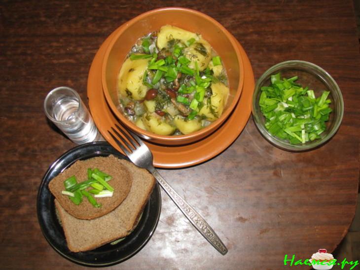 Фантазии грибника