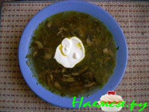 Суп из свежих шампиньонов со сметанкой)