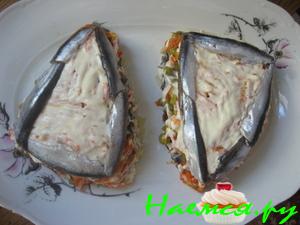 Хамса в шубке