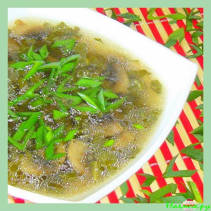 Суп грибной с ревенем Суп грибной с ревенем