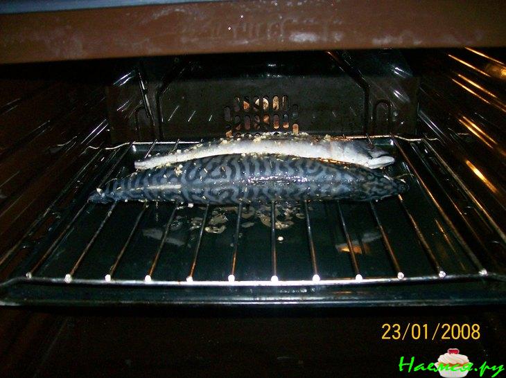 Скумбрия в маринаде гриль Скумбрия в маринаде гриль