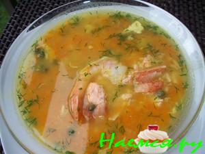 Суп из рыбы и морепродуктов Суп из рыбы и морепродуктов