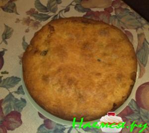 Курник-грибник Курник-грибник