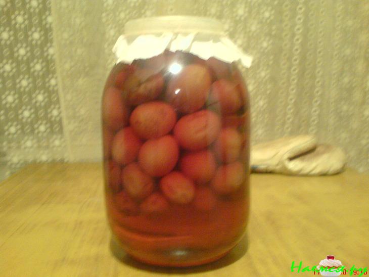 Сливянка классическая