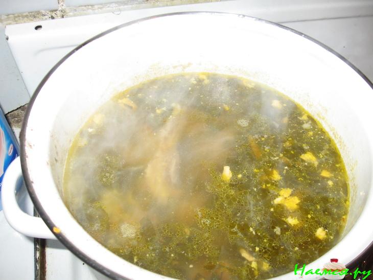 Щи "Щавель и шпинат"