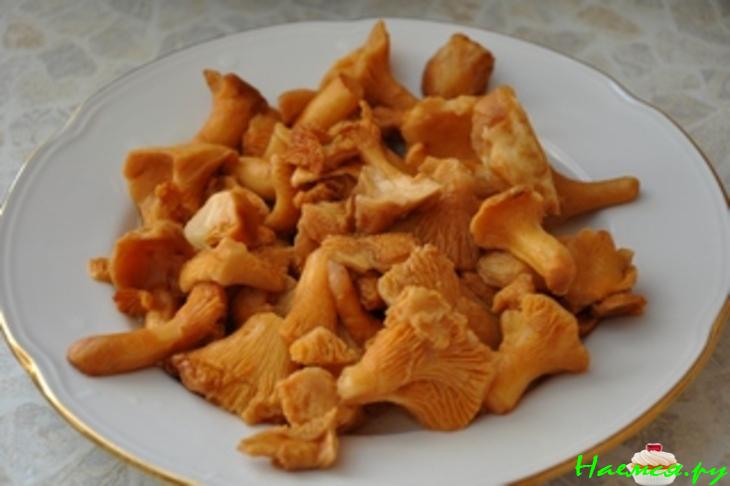 Лягушачьи лапки с папоротником и лисичками