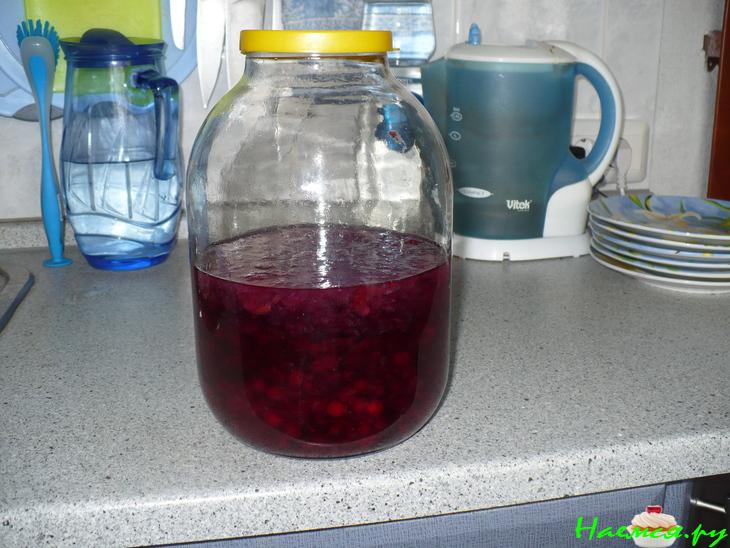 Клюковка на спирту Клюковка на спирту