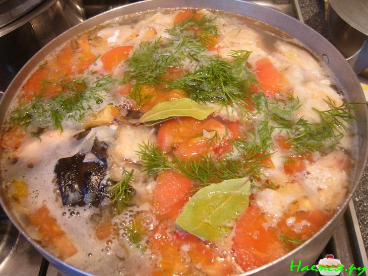 Уха из семги  