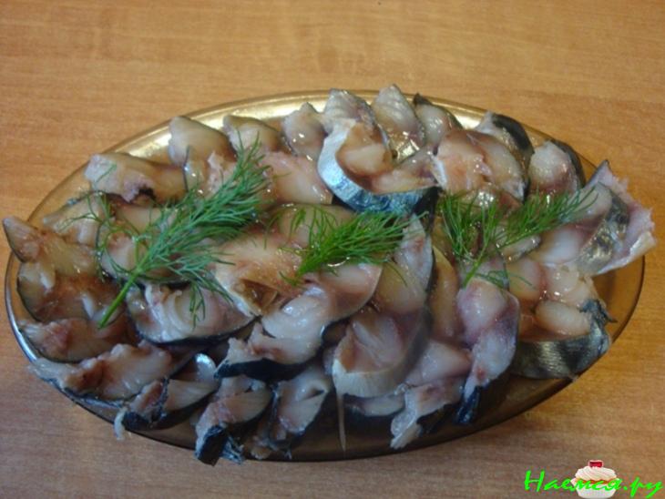 Скумбрия в маринаторе