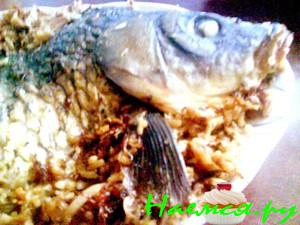 Карп "книжный" на подстилке из квашеной капусты