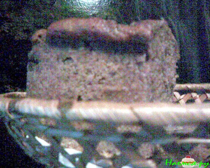 Ржаные кирпичики с отрубями и орехами