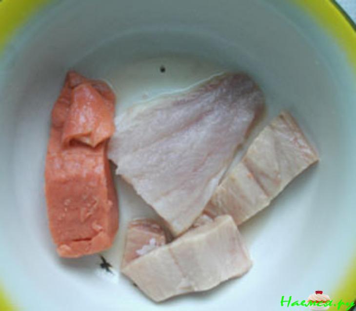 Фрегат Фрегат