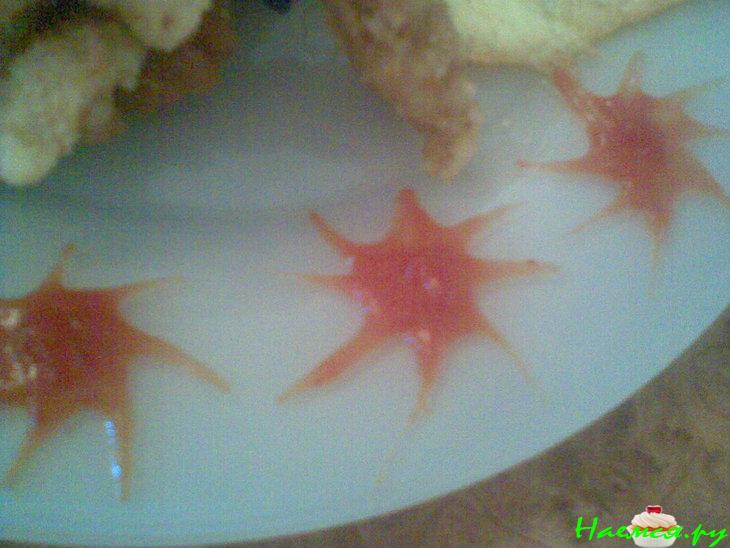 Куриный 'Фигвам'