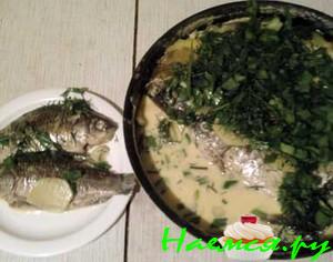 Уха по-татарски со сметаной