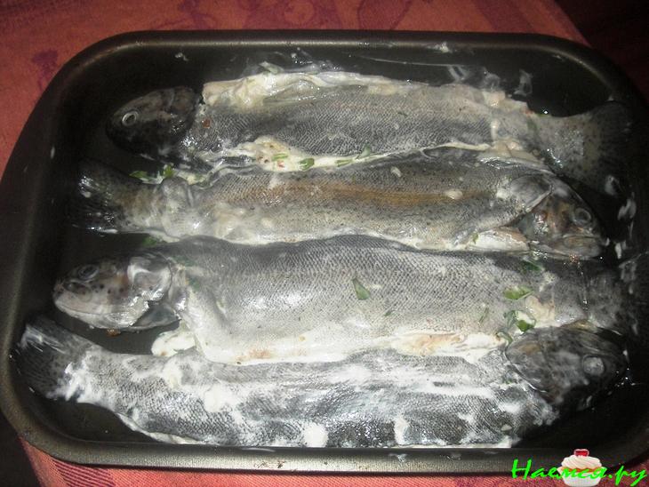 Форель запеченная с козьим сыром и зеленью