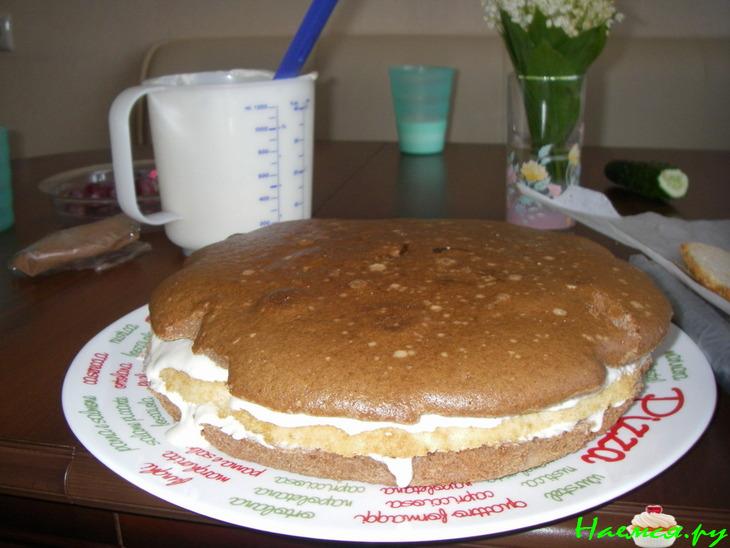 Сметанник "Снежная вершина"