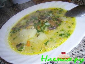 Суп грибной с плавленным сыром