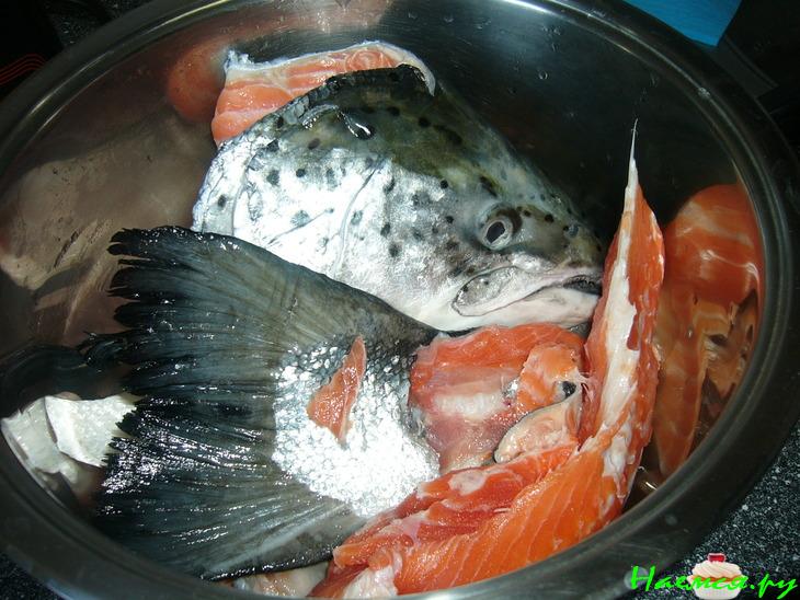 Уха из семги  