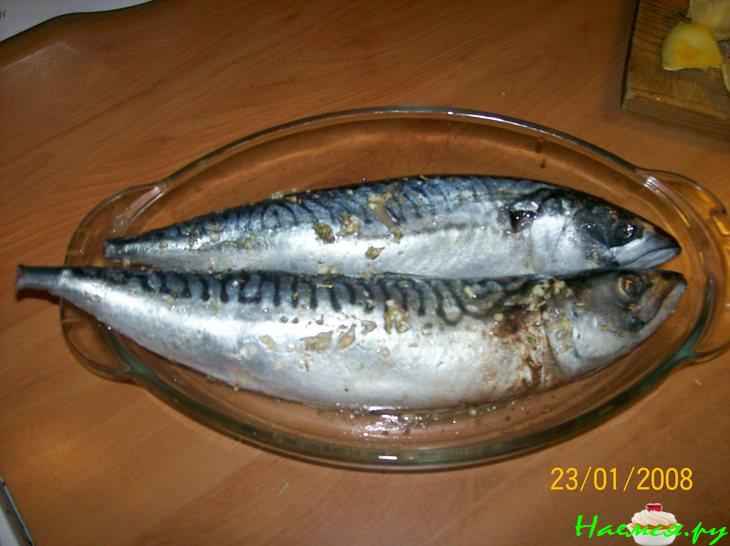 Скумбрия в маринаде гриль Скумбрия в маринаде гриль