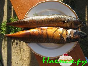 Копченная скумбрия