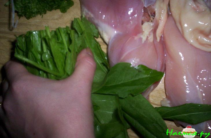 "Летняя Курица" "Летняя Курица"