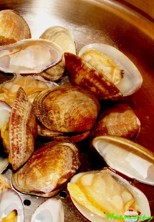 Морские ракушки