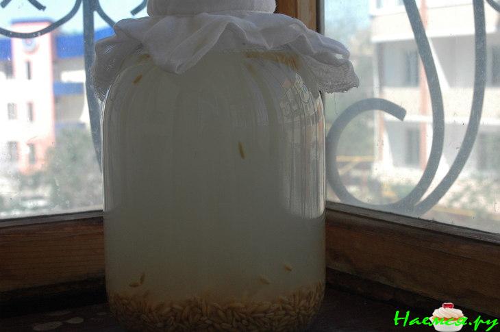 Квас овсяной Квас овсяной