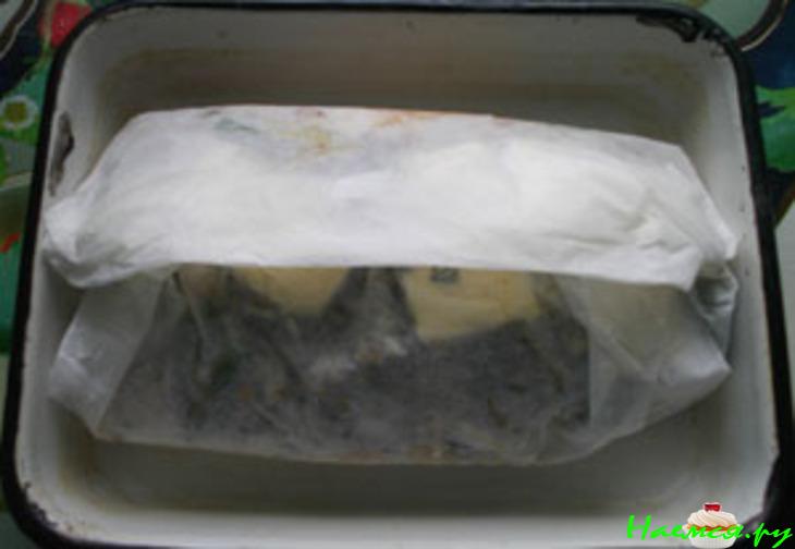 Пангасиус в конверте