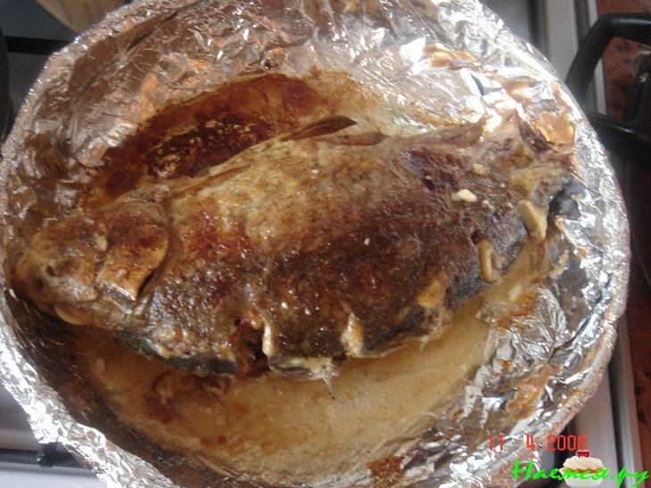 Утомленный карась