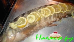 <strong>Рыбка</strong> с брюшком