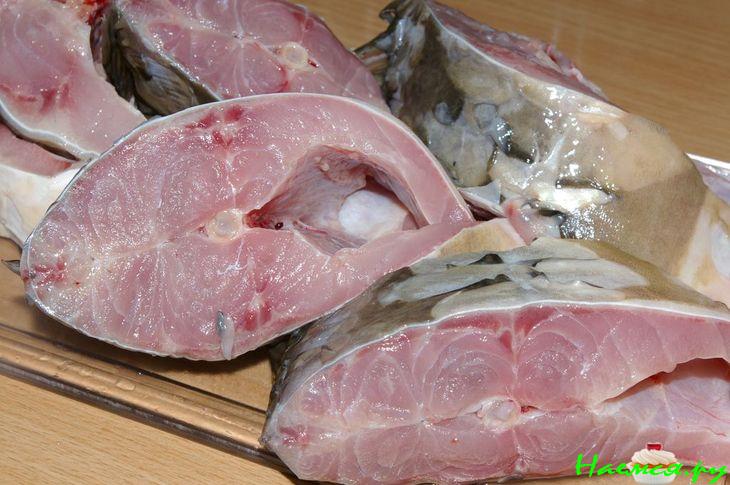 Звезда ужина - Карп зеркальный