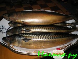 Скумбрия холодного копчения