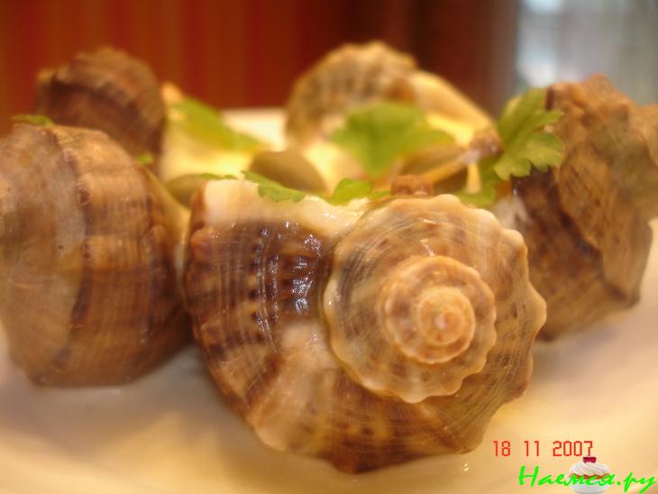 Закуска "После шторма" Закуска "После шторма"